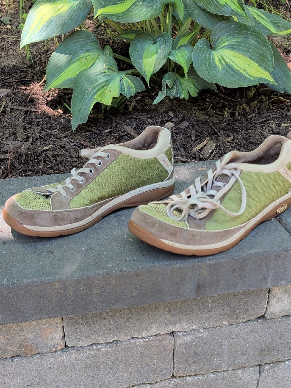 Women's Chaco Maddie Green and Brown Casual Lace-Up Sneakers Cottagecore Outdoor